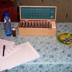 Uittesten Bach Bloesems